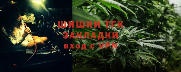 гидропоника Алзамай