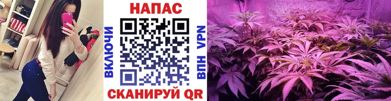 mega зеркало  Лесной  Канабис VHQ 